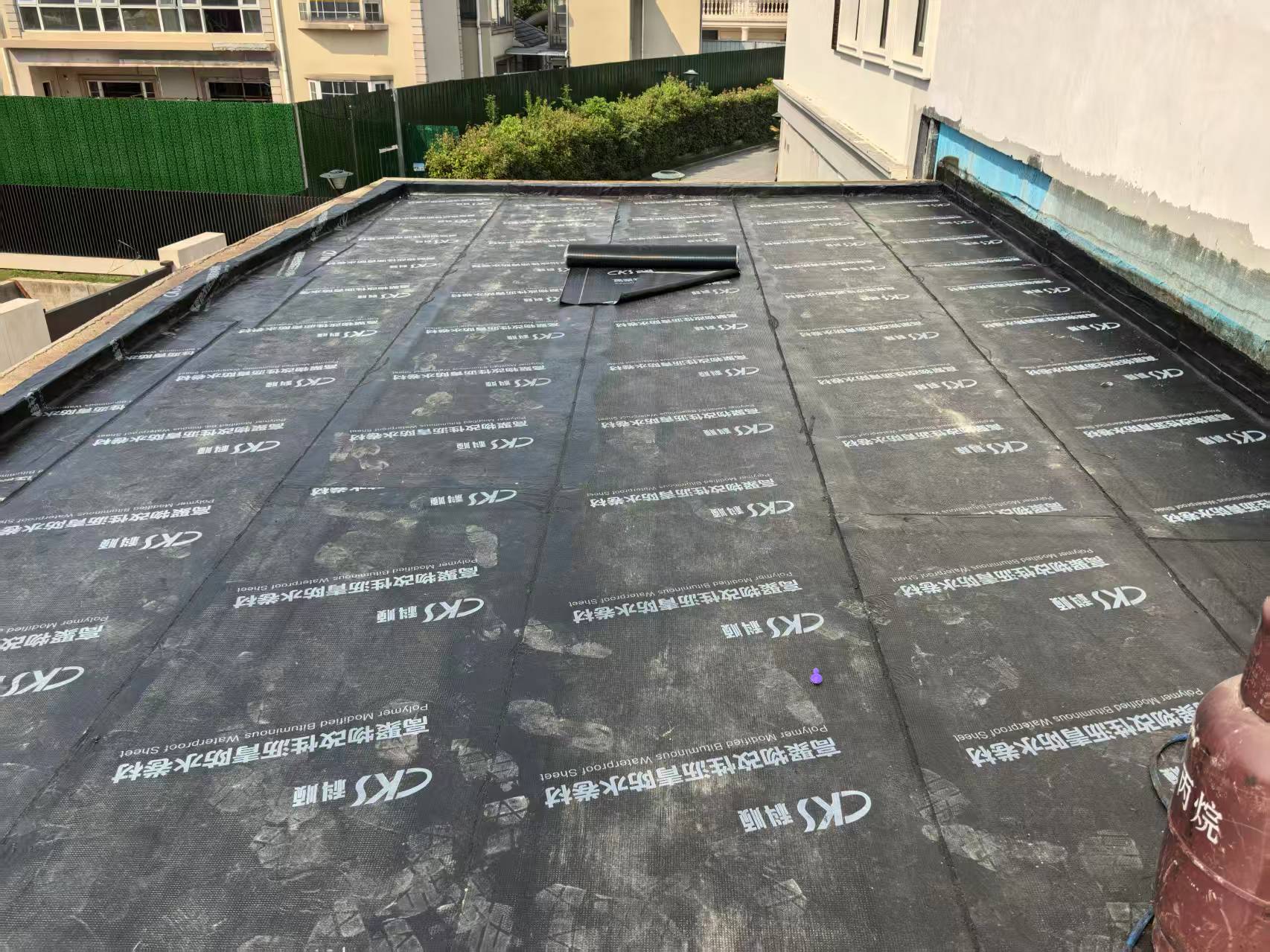 dm25.jpg